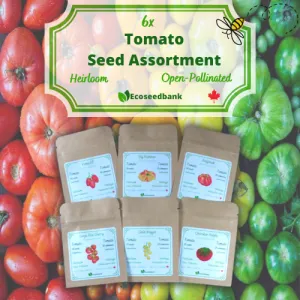 6x Tomato Seed Assortment