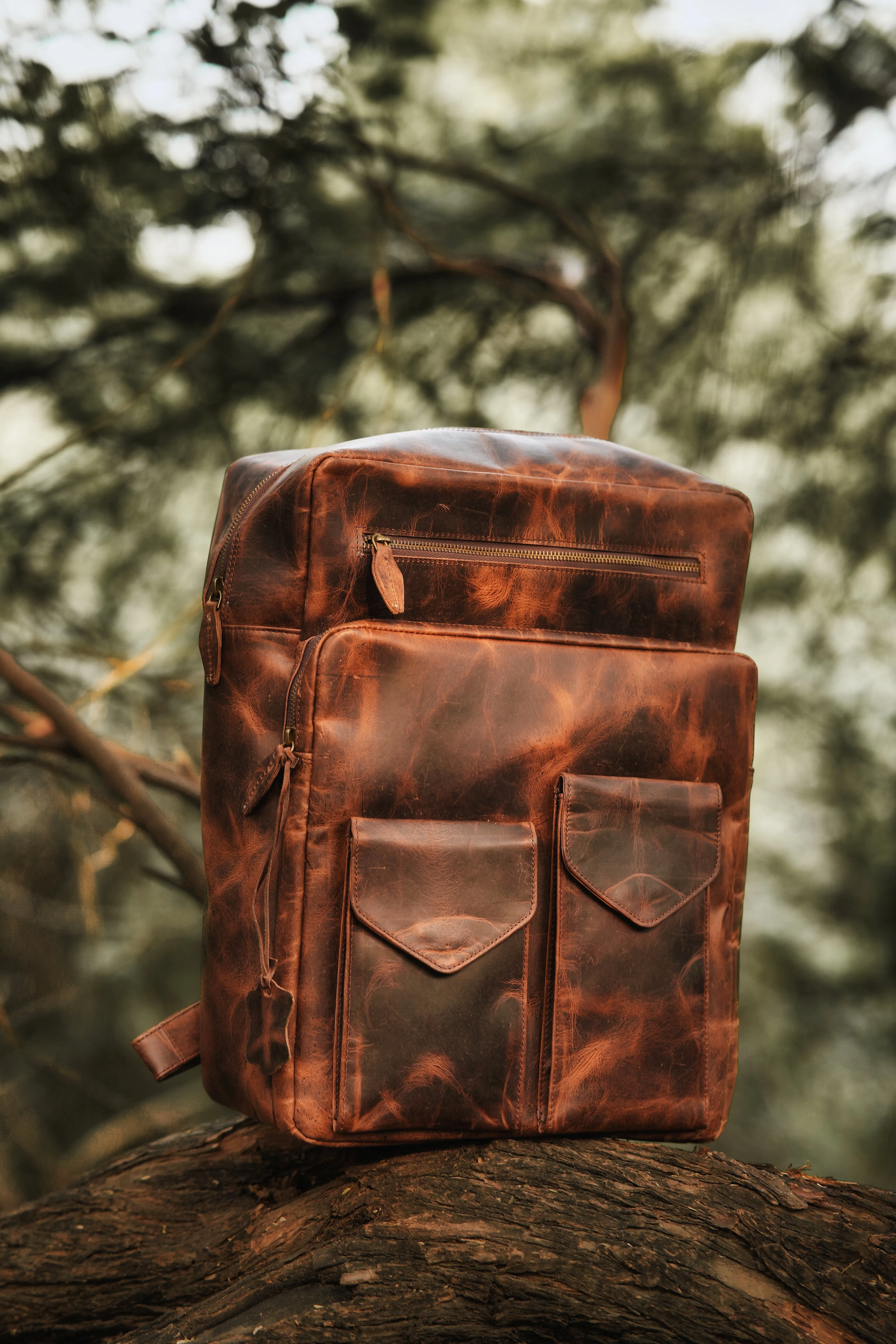 Berlut Wine Leather Backpack