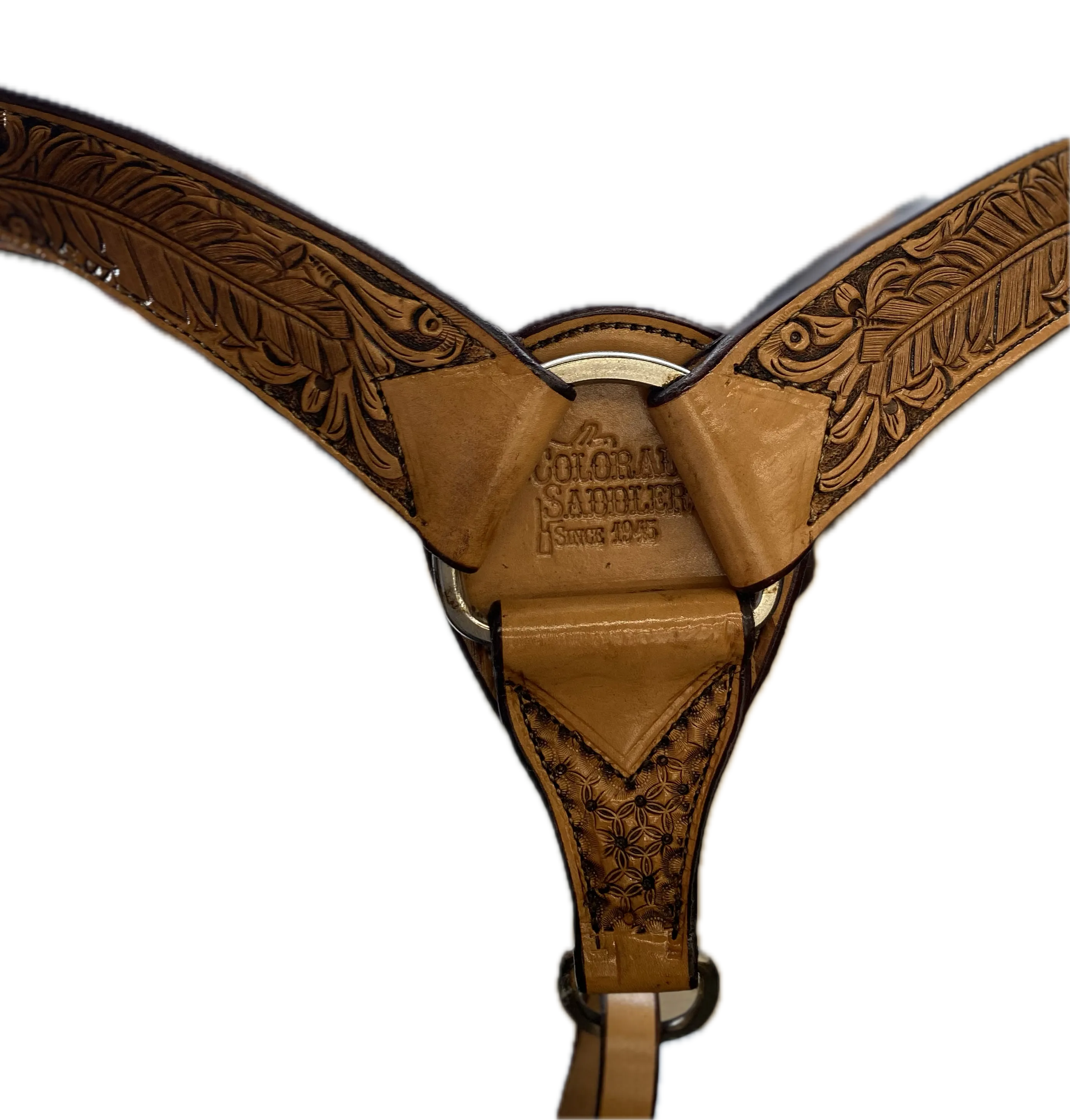 Deluxe Trail Flex Eagle Wing 13.5"