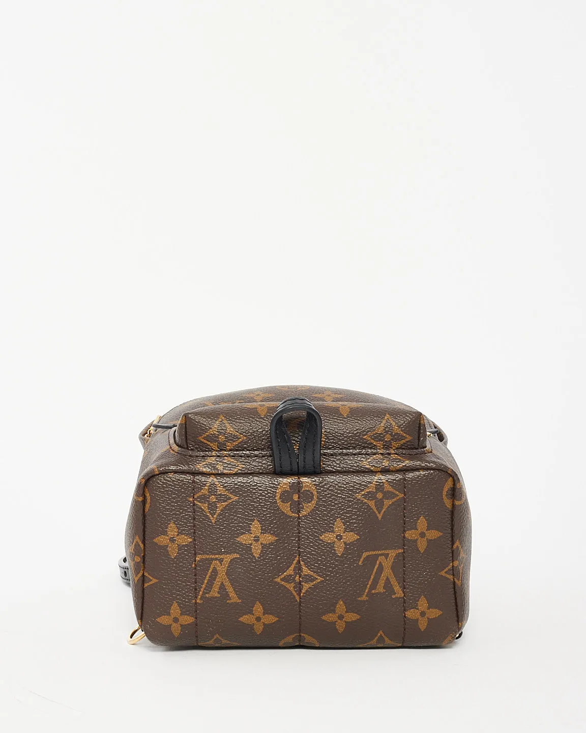 Louis Vuitton Monogram Palm Springs Mini Backpack