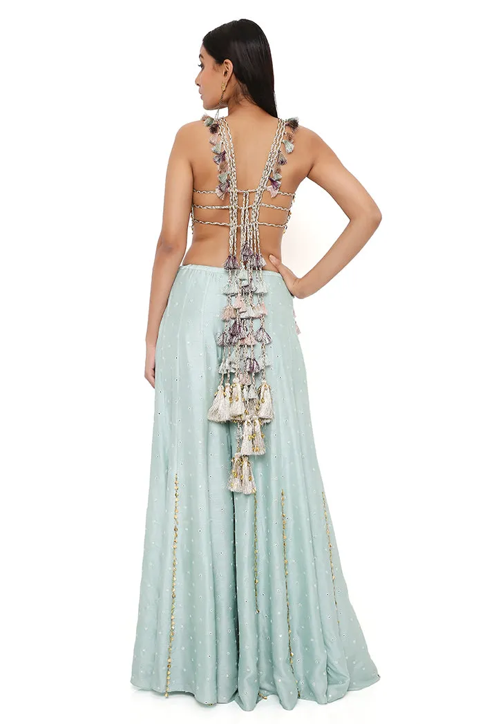 POWDER BLUE GEORGETTE EMBROIDERED CHOLI WITH ABLA SILK SHARARA