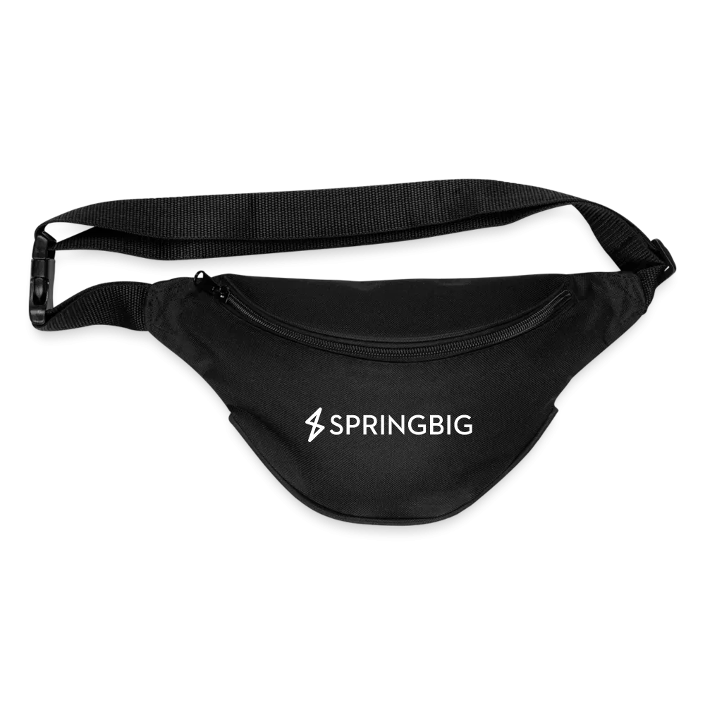 Springbig Fanny Pack